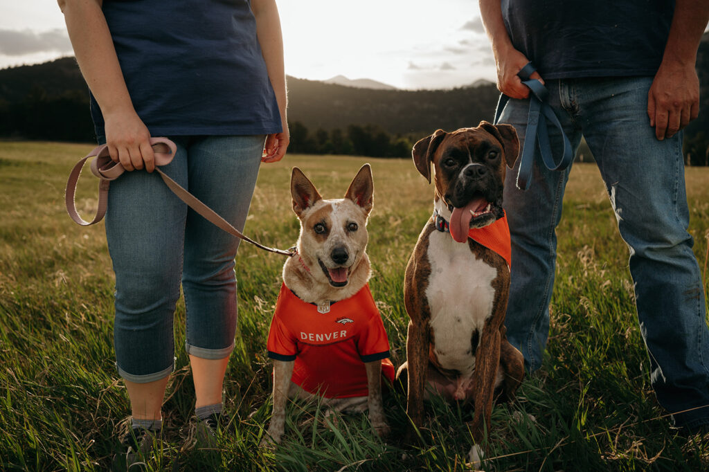 Colorado Engagement Session with dogs